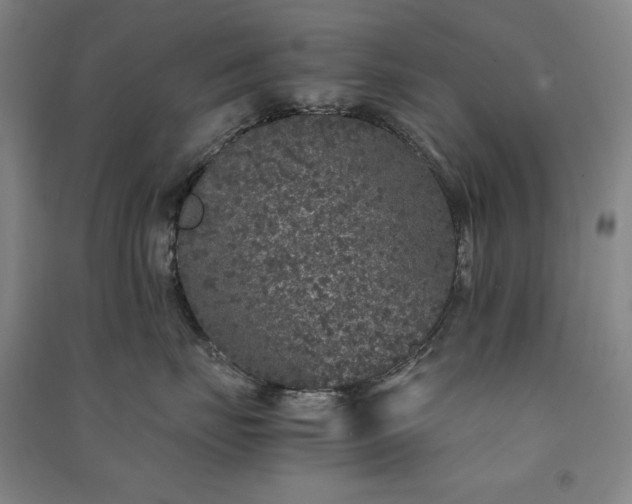 X0000091340671200708171412