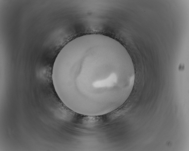 X0000091340672200708171412