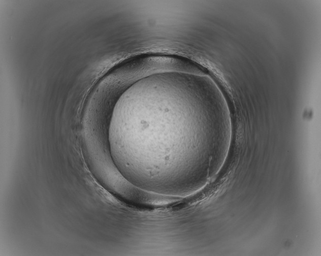 X0000091340673200708171411