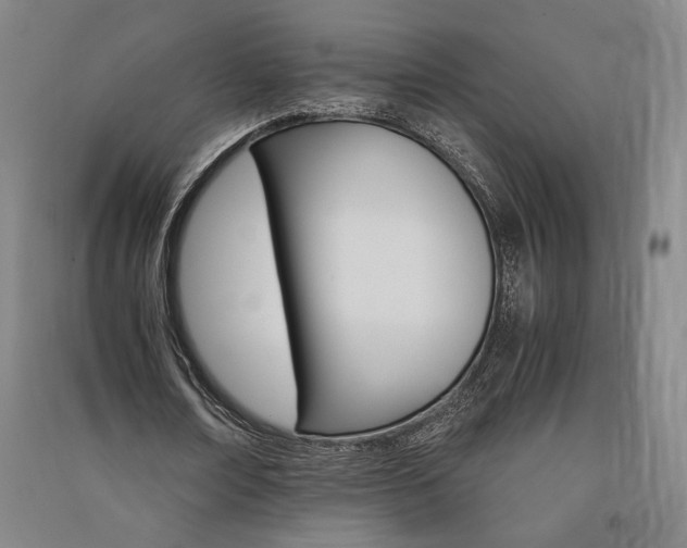 X0000091340674200708171411