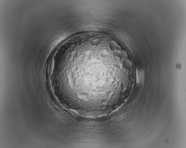 X0000091340675200708171411