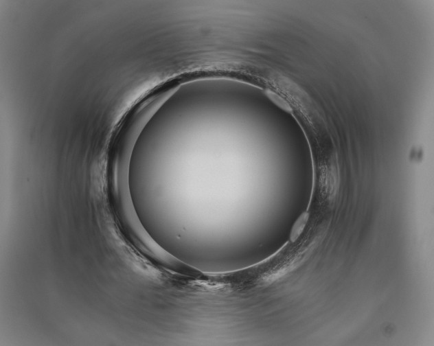 X0000091340676200708171411