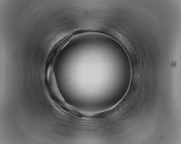 X0000091340677200708171411