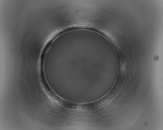 X0000091340678200708171411