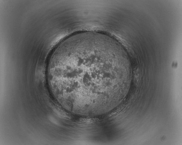 X0000091340679200708171411