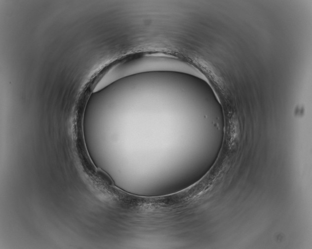 X0000091340680200708171411