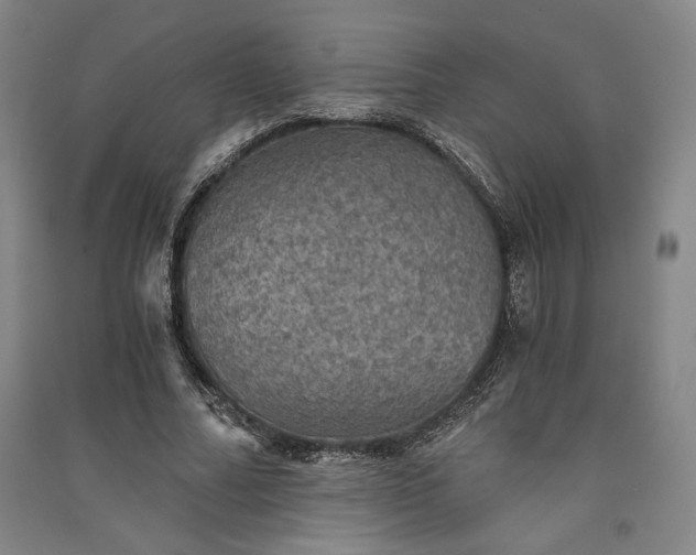 X0000091340682200708171411