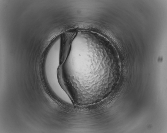 X0000091340683200708171411