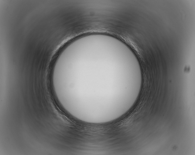 X0000091340684200708171411