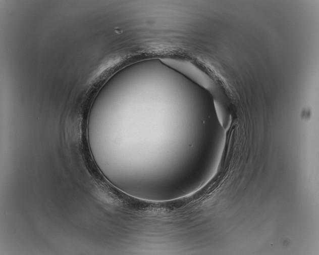 X0000091340685200708171411