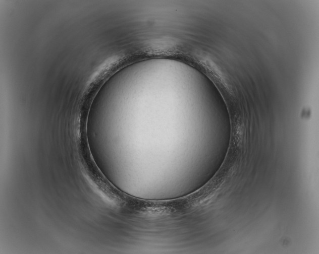 X0000091340686200708171411