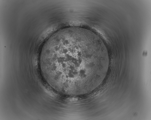 X0000091340687200708171411