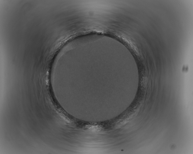 X0000091340689200708171411