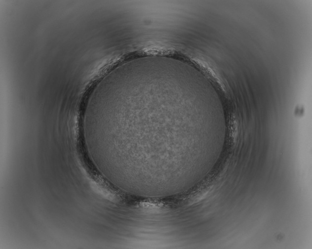 X0000091340690200708171411