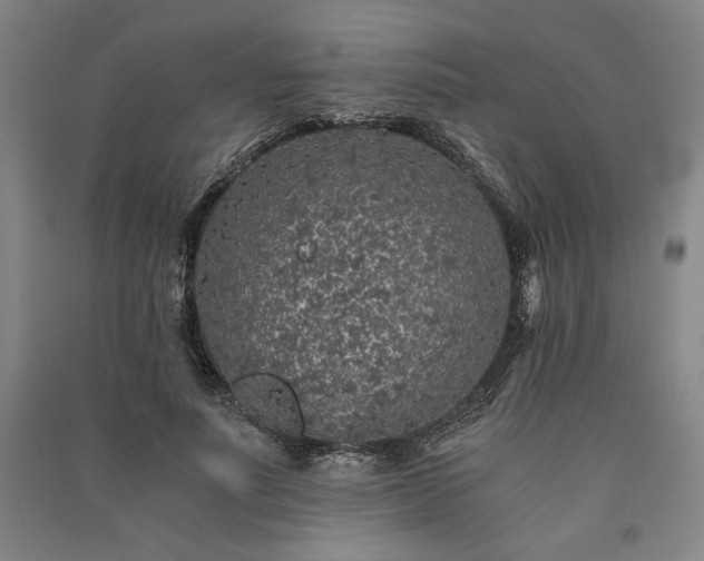 X0000091340691200708171411