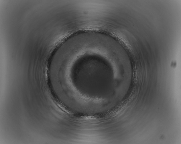 X0000091340692200708171411