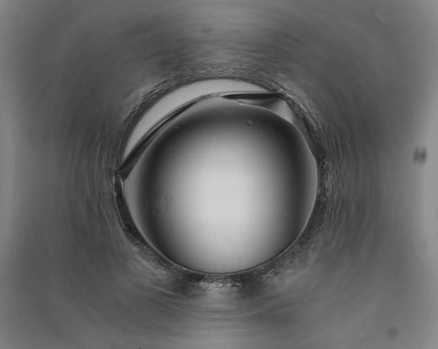 X0000091340693200708171411