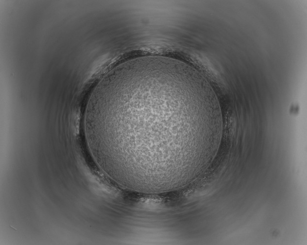 X0000091340694200708171411