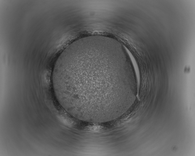 X0000091340695200708171411