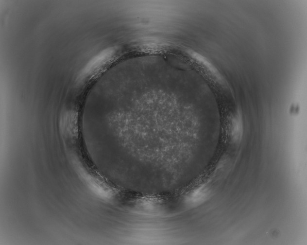 X0000091340696200708171411