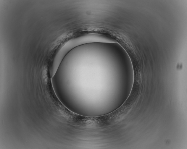 X0000091340697200708171411