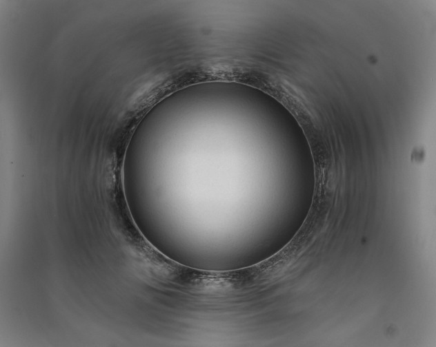 X0000091340702200708171411