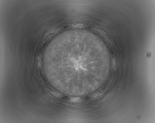 X0000091340705200708171411