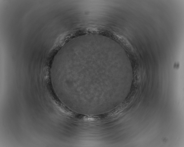 X0000091340706200708171411