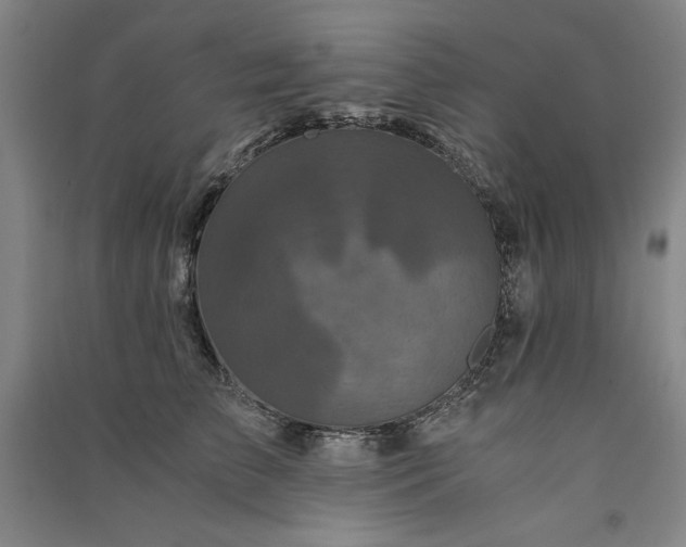 X0000091340709200708171411