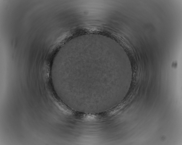 X0000091340710200708171411