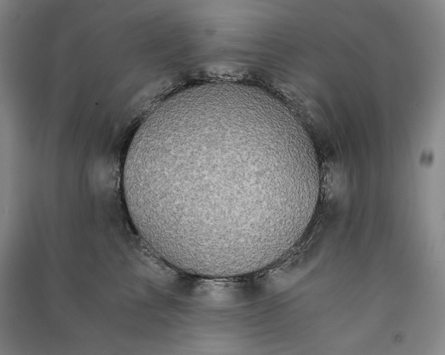 X0000091340713200708171411