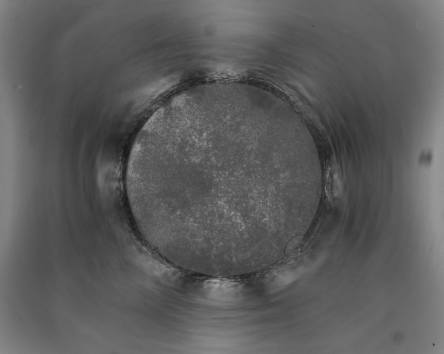 X0000091340714200708171411