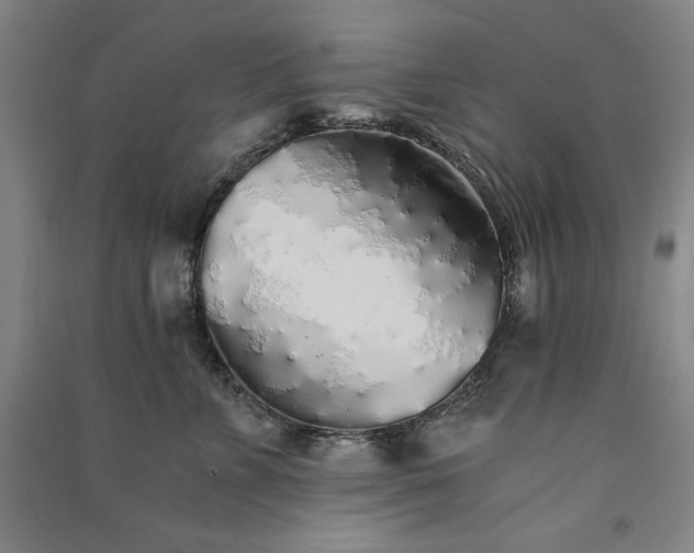 X0000091340715200708171411