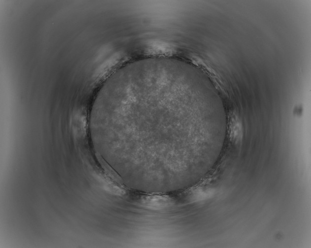 X0000091340716200708171411