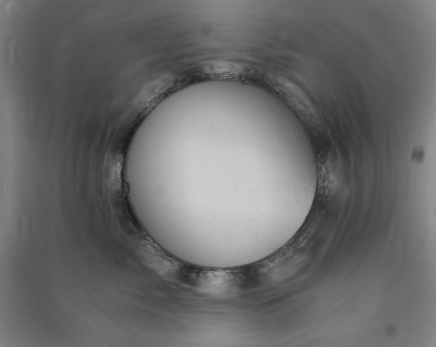 X0000091340717200708171411