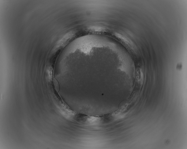 X0000091340718200708171411