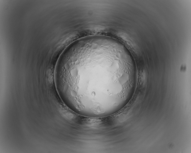 X0000091340719200708171411