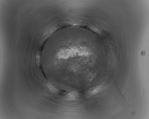 X0000091340720200708171411