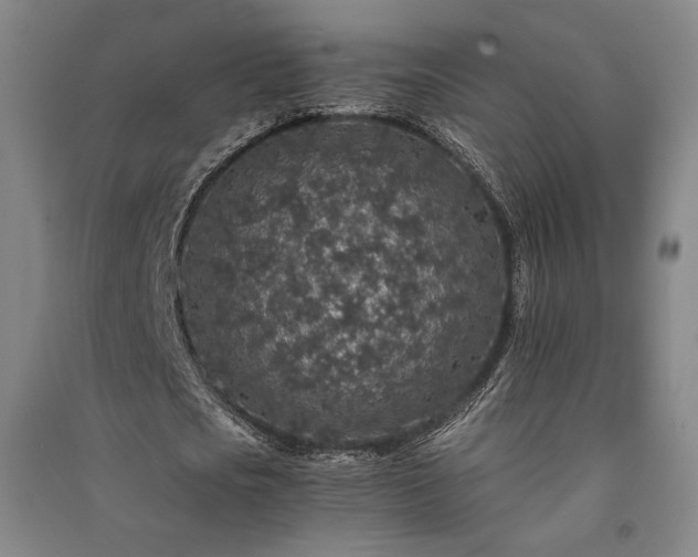 X0000091340721200708171410