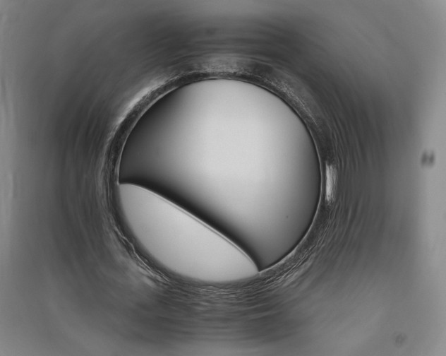 X0000091340723200708171410