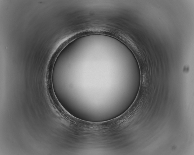 X0000091340724200708171410