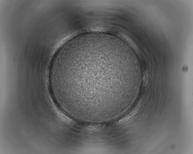 X0000091340725200708171410