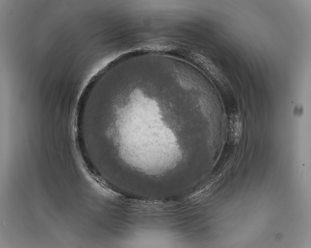 X0000091340726200708171410