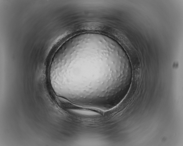 X0000091340727200708171410