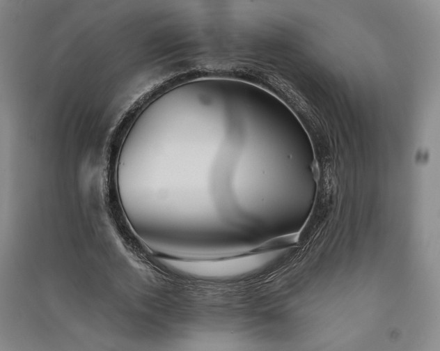 X0000091340728200708171410