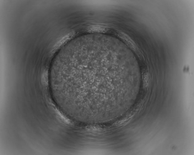 X0000091340729200708171410