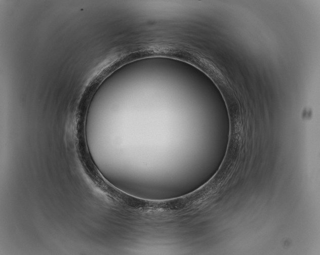 X0000091340730200708171410