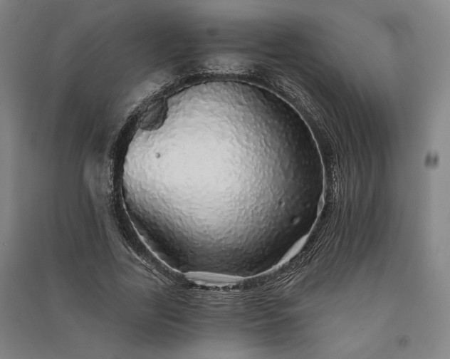 X0000091340731200708171410