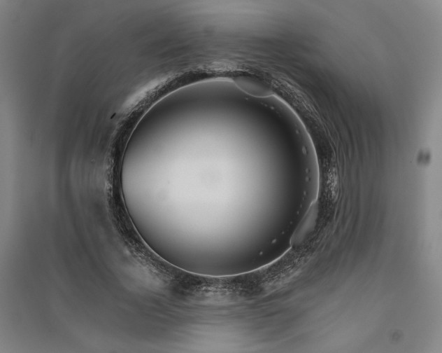 X0000091340732200708171410