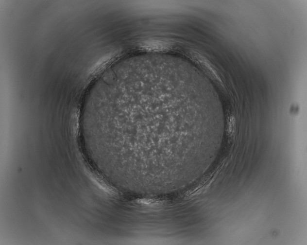 X0000091340733200708171410